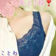 ヒメ日記 2025/03/05 14:49 投稿 片岡 琴音 昼妻夜 滋賀店