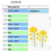 ヒメ日記 2025/03/07 09:27 投稿 片岡 琴音 昼妻夜 滋賀店