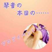 ヒメ日記 2025/03/13 15:03 投稿 片岡 琴音 昼妻夜 滋賀店