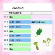 ヒメ日記 2025/03/16 12:18 投稿 片岡 琴音 昼妻夜 滋賀店