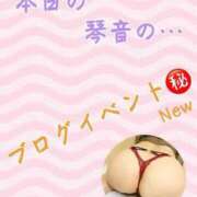 ヒメ日記 2025/03/20 15:03 投稿 片岡 琴音 昼妻夜 滋賀店