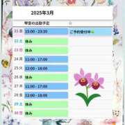 ヒメ日記 2025/03/21 12:12 投稿 片岡 琴音 昼妻夜 滋賀店