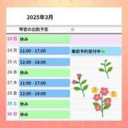 ヒメ日記 2025/03/23 13:12 投稿 片岡 琴音 昼妻夜 滋賀店