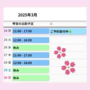 ヒメ日記 2025/03/24 09:33 投稿 片岡 琴音 昼妻夜 滋賀店