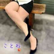 ヒメ日記 2025/03/24 11:18 投稿 片岡 琴音 昼妻夜 滋賀店