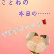 ヒメ日記 2025/03/24 13:48 投稿 片岡 琴音 昼妻夜 滋賀店