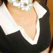 ヒメ日記 2025/03/24 14:18 投稿 片岡 琴音 昼妻夜 滋賀店