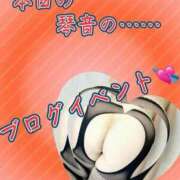 ヒメ日記 2025/03/25 10:42 投稿 片岡 琴音 昼妻夜 滋賀店