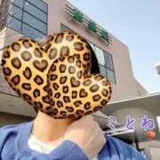 ヒメ日記 2025/03/25 14:27 投稿 片岡 琴音 昼妻夜 滋賀店