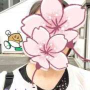 ヒメ日記 2025/03/28 17:18 投稿 片岡 琴音 昼妻夜 滋賀店