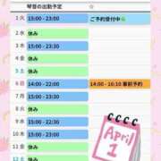 ヒメ日記 2025/04/01 11:48 投稿 片岡 琴音 昼妻夜 滋賀店