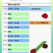 ヒメ日記 2025/04/03 12:03 投稿 片岡 琴音 昼妻夜 滋賀店