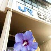 ヒメ日記 2025/04/03 17:18 投稿 片岡 琴音 昼妻夜 滋賀店