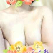 ヒメ日記 2025/04/03 18:18 投稿 片岡 琴音 昼妻夜 滋賀店