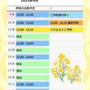 ヒメ日記 2025/04/09 11:33 投稿 片岡 琴音 昼妻夜 滋賀店