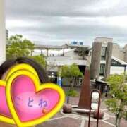 ヒメ日記 2025/04/11 17:33 投稿 片岡 琴音 昼妻夜 滋賀店