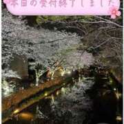 ヒメ日記 2025/04/20 02:48 投稿 片岡 琴音 昼妻夜 滋賀店