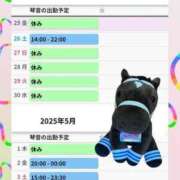 ヒメ日記 2025/04/25 12:18 投稿 片岡 琴音 昼妻夜 滋賀店