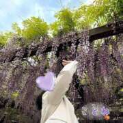 ヒメ日記 2025/05/03 02:18 投稿 片岡 琴音 昼妻夜 滋賀店