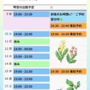 ヒメ日記 2025/05/09 11:33 投稿 片岡 琴音 昼妻夜 滋賀店