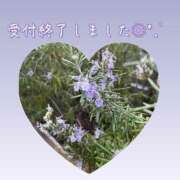 ヒメ日記 2025/05/10 00:33 投稿 片岡 琴音 昼妻夜 滋賀店