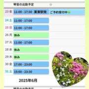 ヒメ日記 2025/05/23 08:48 投稿 片岡 琴音 昼妻夜 滋賀店