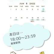 ヒメ日記 2025/06/07 14:57 投稿 片岡 琴音 昼妻夜 滋賀店