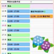 ヒメ日記 2025/06/11 11:33 投稿 片岡 琴音 昼妻夜 滋賀店