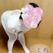 ヒメ日記 2025/06/18 19:33 投稿 片岡 琴音 昼妻夜 滋賀店