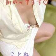 ヒメ日記 2025/06/22 18:03 投稿 片岡 琴音 昼妻夜 滋賀店