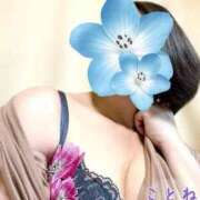 ヒメ日記 2025/07/16 17:36 投稿 片岡 琴音 昼妻夜 滋賀店