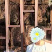 ヒメ日記 2025/07/18 01:03 投稿 片岡 琴音 昼妻夜 滋賀店