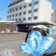 ヒメ日記 2025/07/23 12:51 投稿 片岡 琴音 昼妻夜 滋賀店