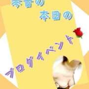 ヒメ日記 2025/08/24 10:03 投稿 片岡 琴音 昼妻夜 滋賀店