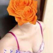 ヒメ日記 2025/08/25 16:39 投稿 片岡 琴音 昼妻夜 滋賀店