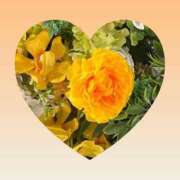 ヒメ日記 2025/09/07 00:45 投稿 片岡 琴音 昼妻夜 滋賀店