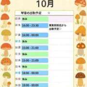 ヒメ日記 2025/10/15 20:00 投稿 片岡 琴音 昼妻夜 滋賀店