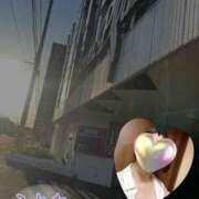 ヒメ日記 2025/10/17 17:57 投稿 片岡 琴音 昼妻夜 滋賀店