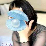 ヒメ日記 2025/11/28 17:33 投稿 片岡 琴音 昼妻夜 滋賀店