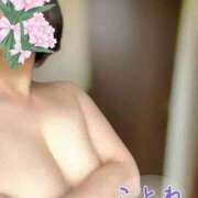 ヒメ日記 2026/01/22 03:03 投稿 片岡 琴音 昼妻夜 滋賀店