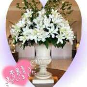 ヒメ日記 2026/02/01 03:33 投稿 片岡 琴音 昼妻夜 滋賀店