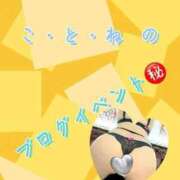 ヒメ日記 2026/03/05 16:42 投稿 片岡 琴音 昼妻夜 滋賀店