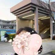 ヒメ日記 2026/04/02 20:03 投稿 片岡 琴音 昼妻夜 滋賀店