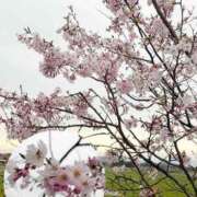 ヒメ日記 2026/04/09 17:18 投稿 片岡 琴音 昼妻夜 滋賀店