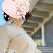 ヒメ日記 2026/04/11 10:03 投稿 片岡 琴音 昼妻夜 滋賀店