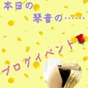 ヒメ日記 2026/04/11 15:27 投稿 片岡 琴音 昼妻夜 滋賀店