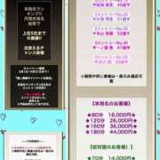 ヒメ日記 2026/05/01 10:42 投稿 片岡 琴音 昼妻夜 滋賀店