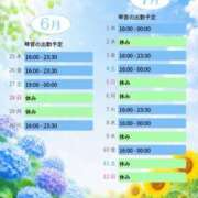 ヒメ日記 2026/06/23 21:33 投稿 片岡 琴音 昼妻夜 滋賀店