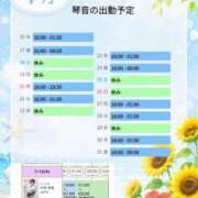 ヒメ日記 2026/07/16 17:18 投稿 片岡 琴音 昼妻夜 滋賀店