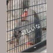 ヒメ日記 2024/12/31 02:56 投稿 しま 奥様鉄道69 仙台店